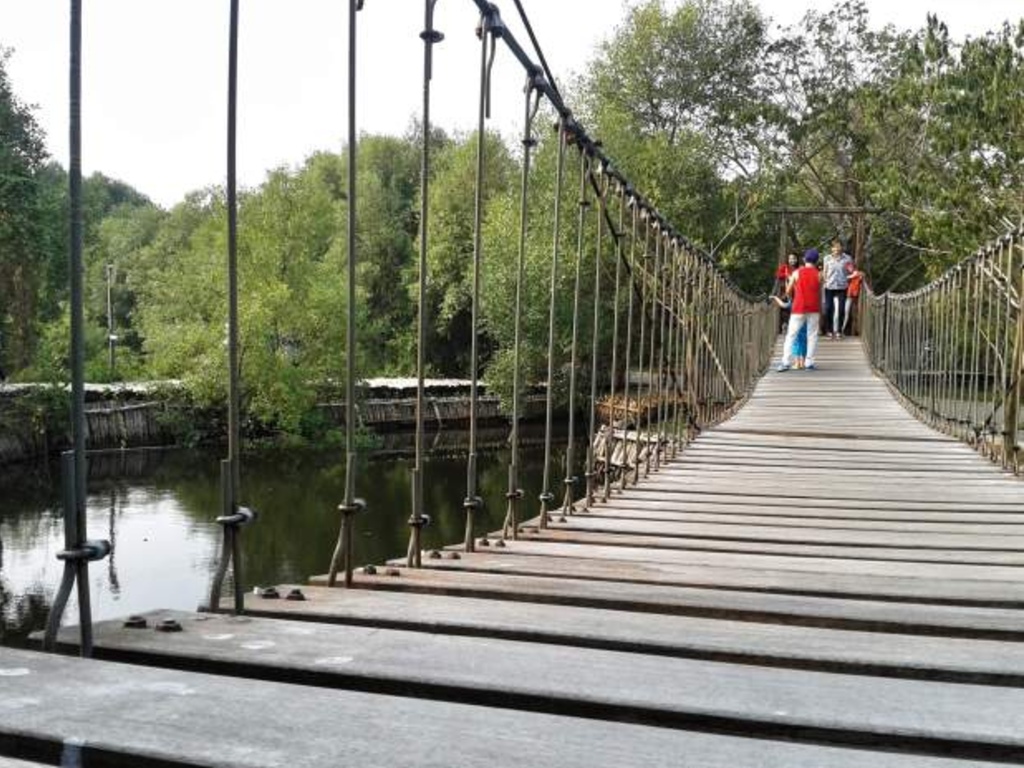 Jembatan Gantung Hutan Mangrove