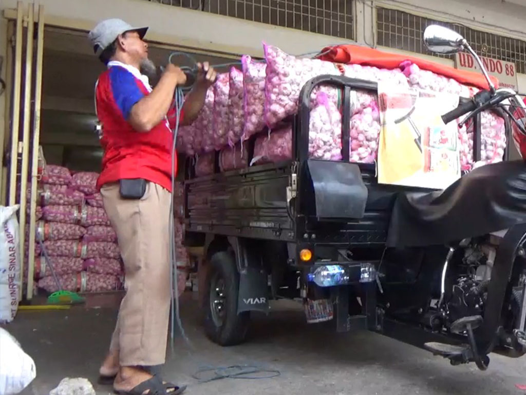 Bawang Putih