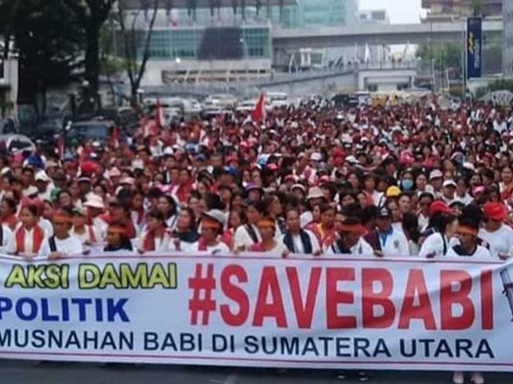 Save Babi