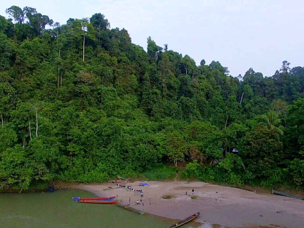 Hutan Aceh