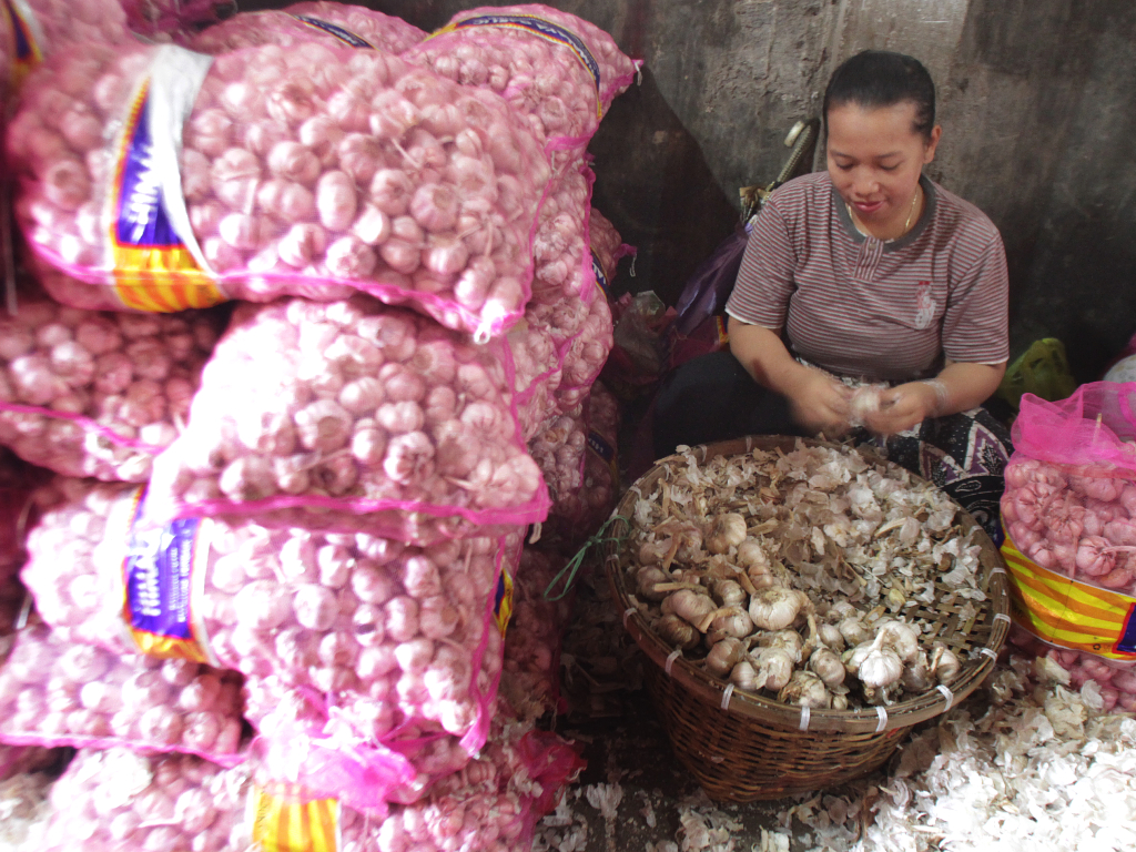 Bawang Putih