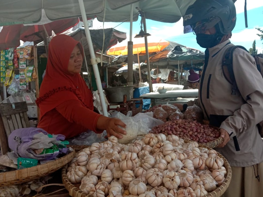 Bawang Putih Magelang