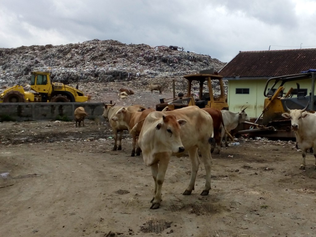 Sampah menggunung di Bantul