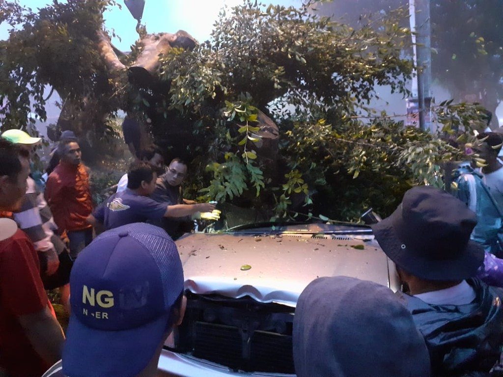 Evakuasi pohon tumbang di Bantul