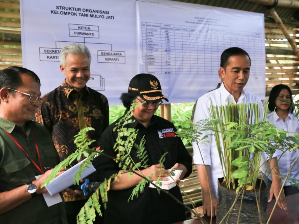 Jokowi vetiver