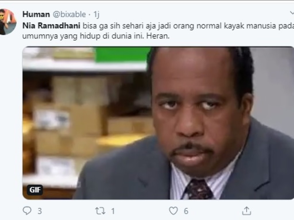 Netizen