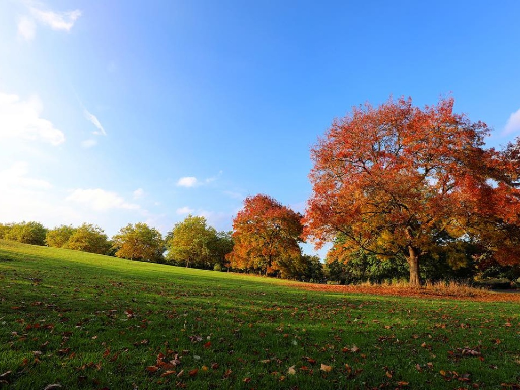 Sefton Park Liverpool