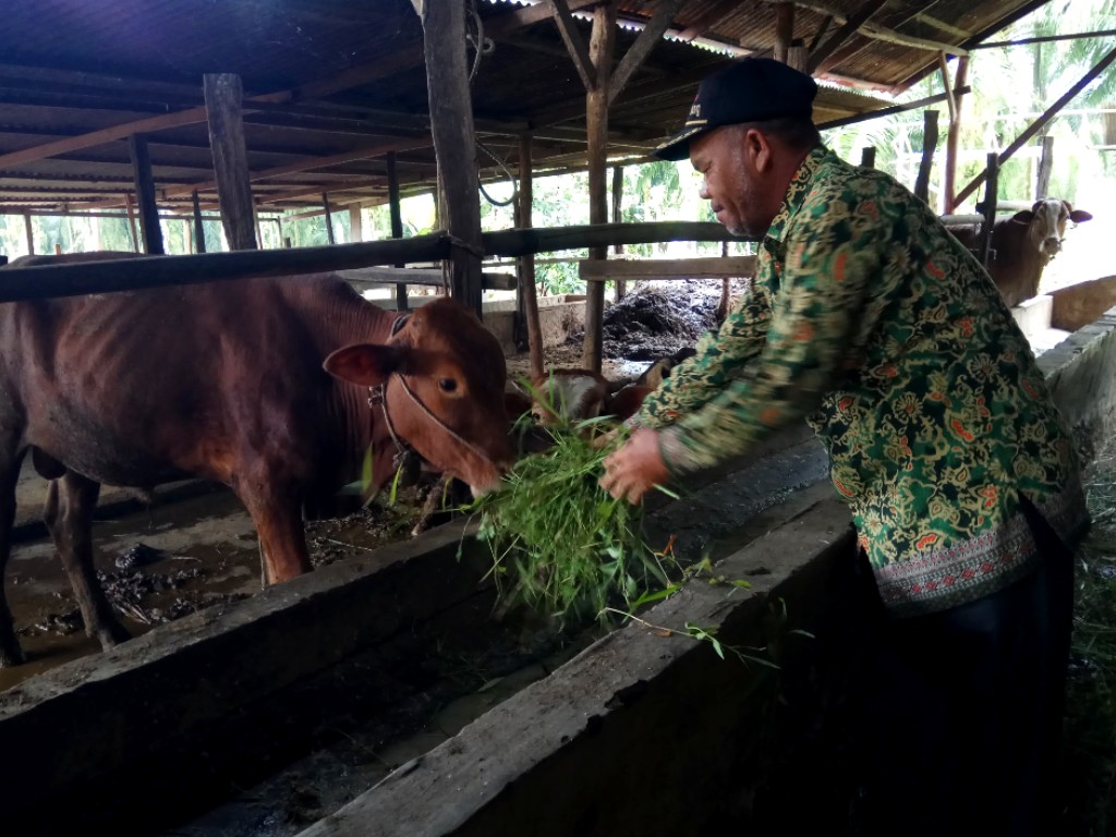 Petani Aceh Joka