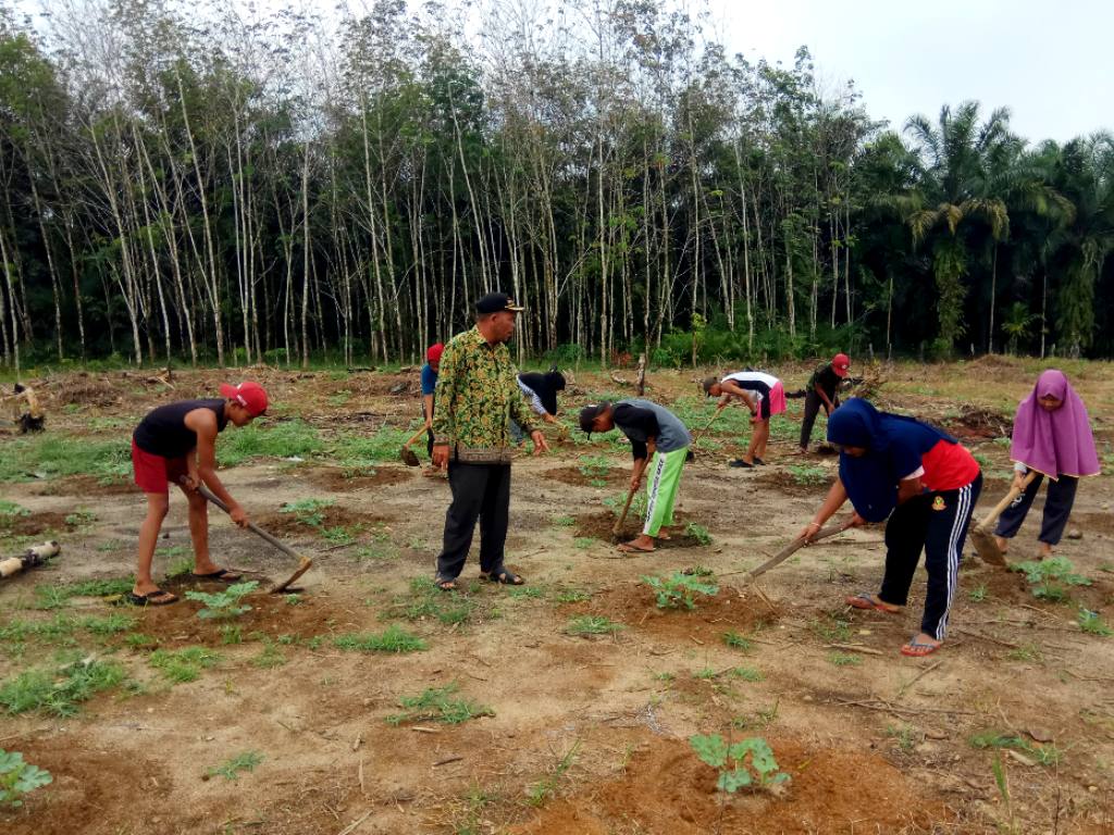 Petani Aceh Joka