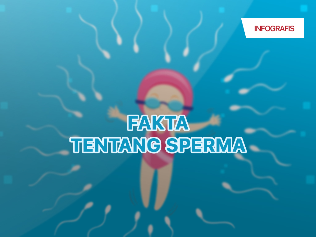 Infografis Cover: Fakta Tentang Sperma