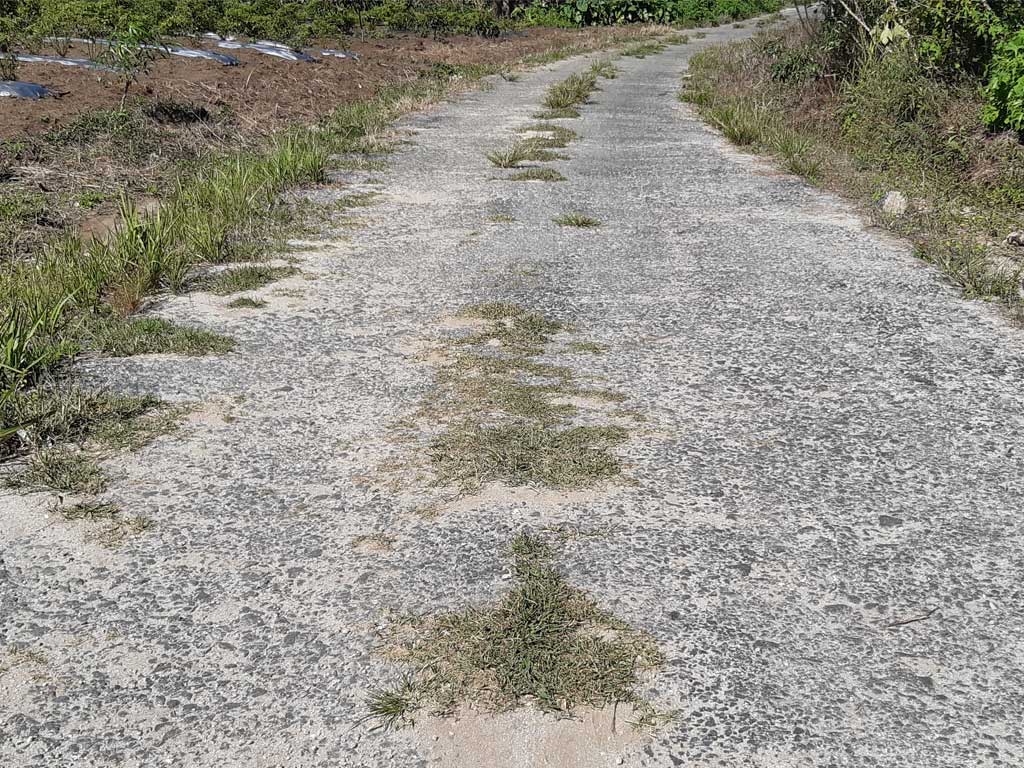 Proyek pengaspalan jalan Dairi