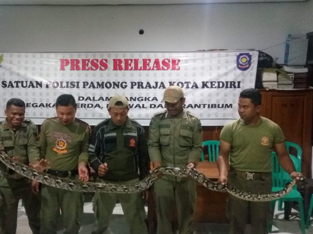 Satpol PP Kediri