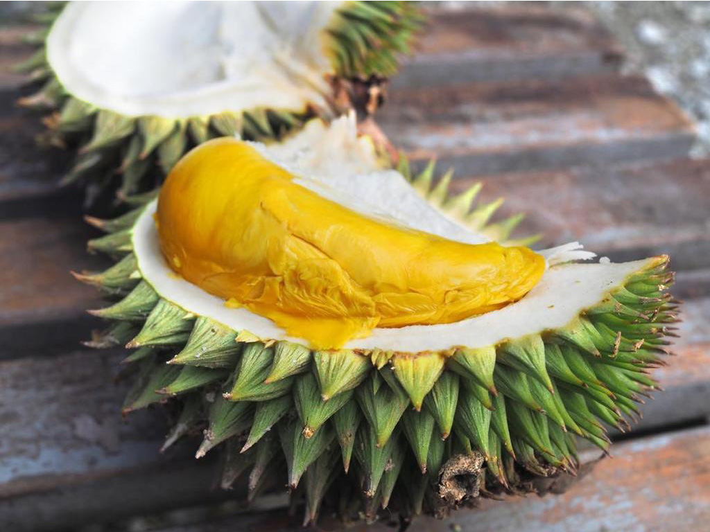 Durian