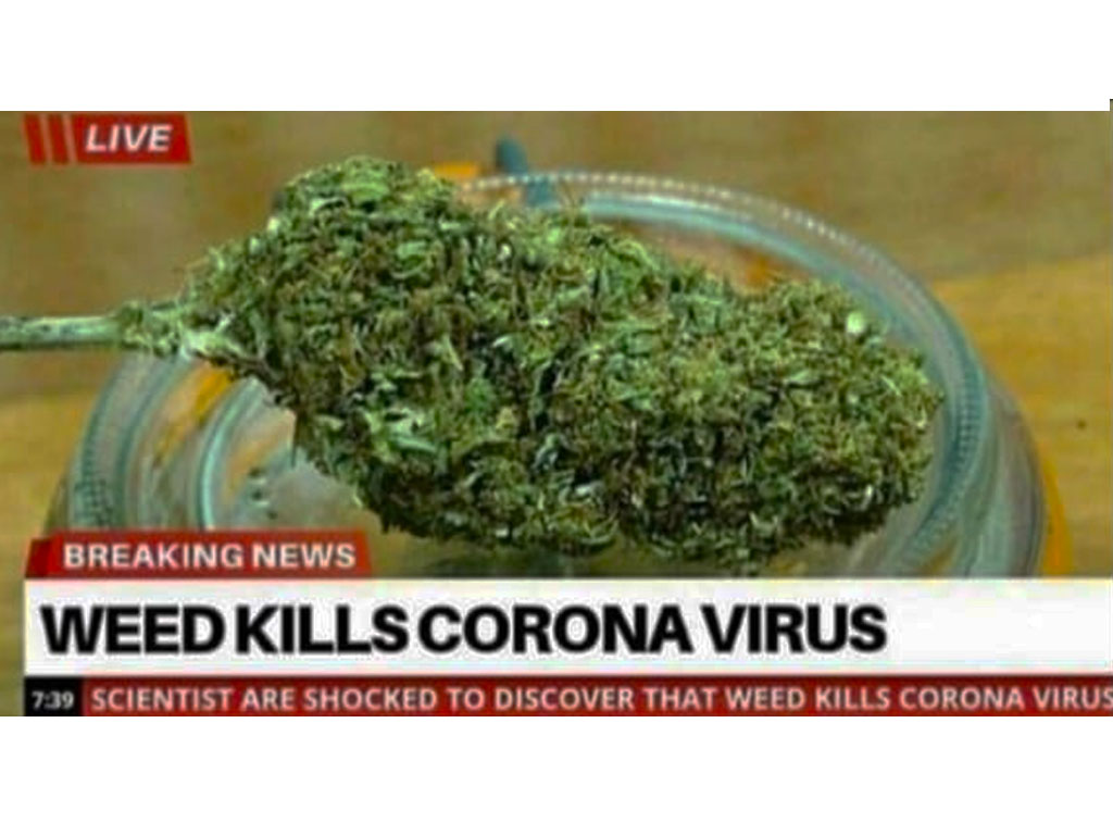 Ganja Corona