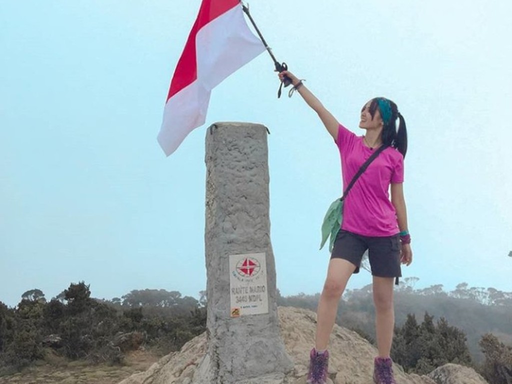 Selebgram