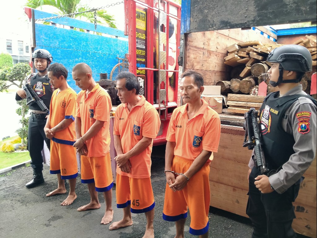 Pembalakan Liar Banyuwangi