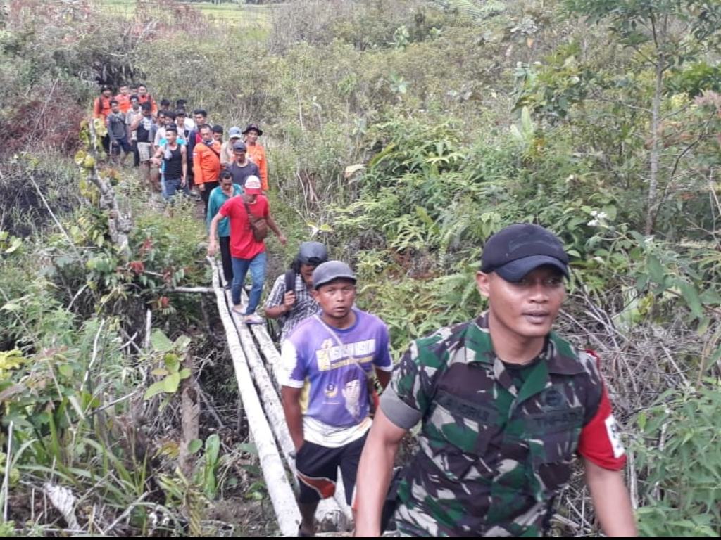 Tersesat di hutan