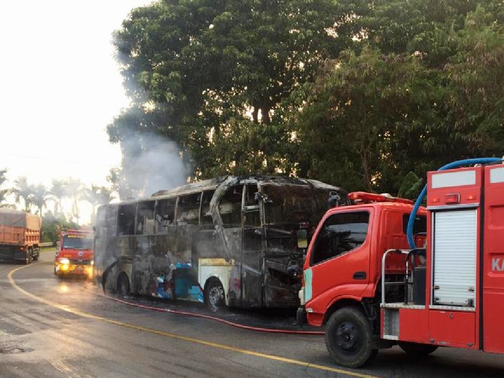 Bus Aceh