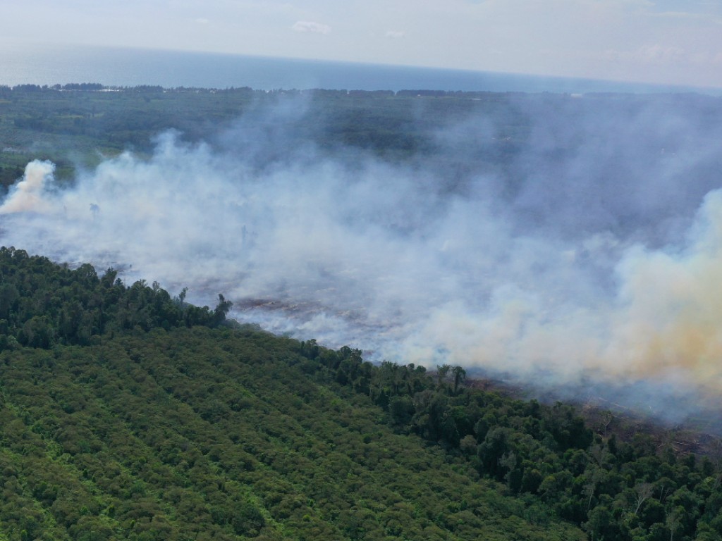 Kebakaran Hutan Aceh
