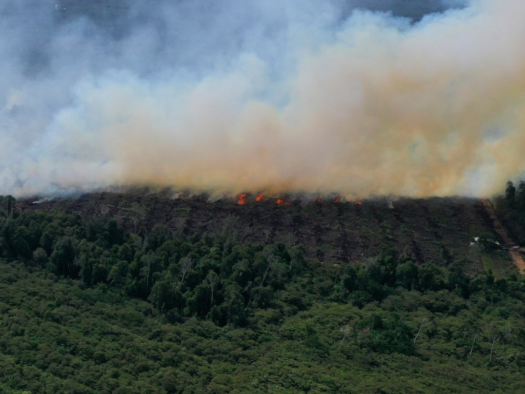 Hutan Aceh