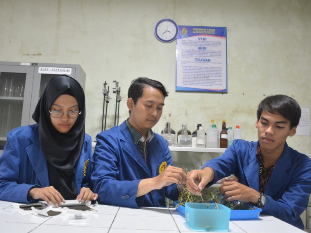 mahasiswa krokot
