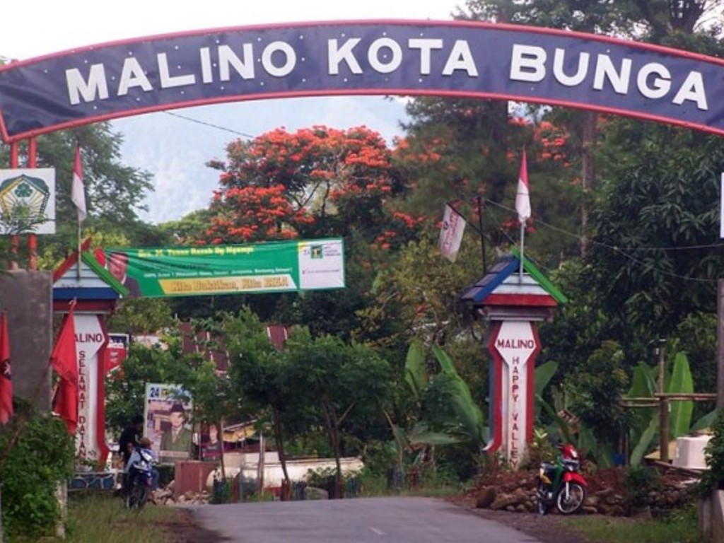 Malino