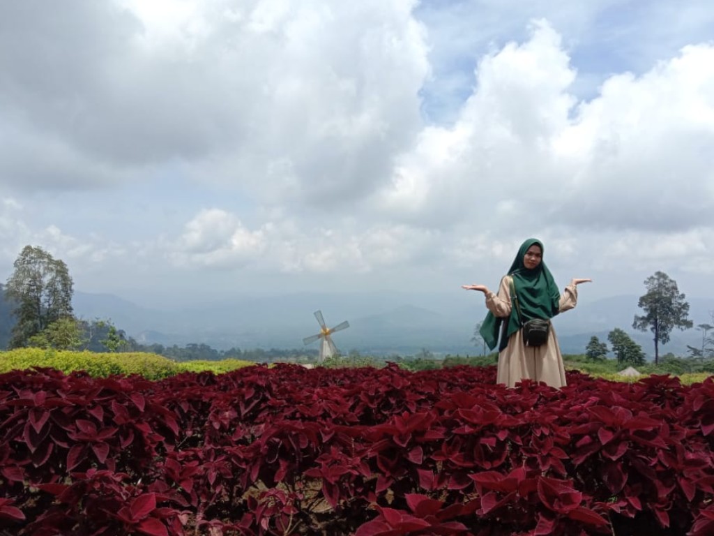 Berburu Selfie di Taman Bunga Kaki Gunung Kerinci | Tagar