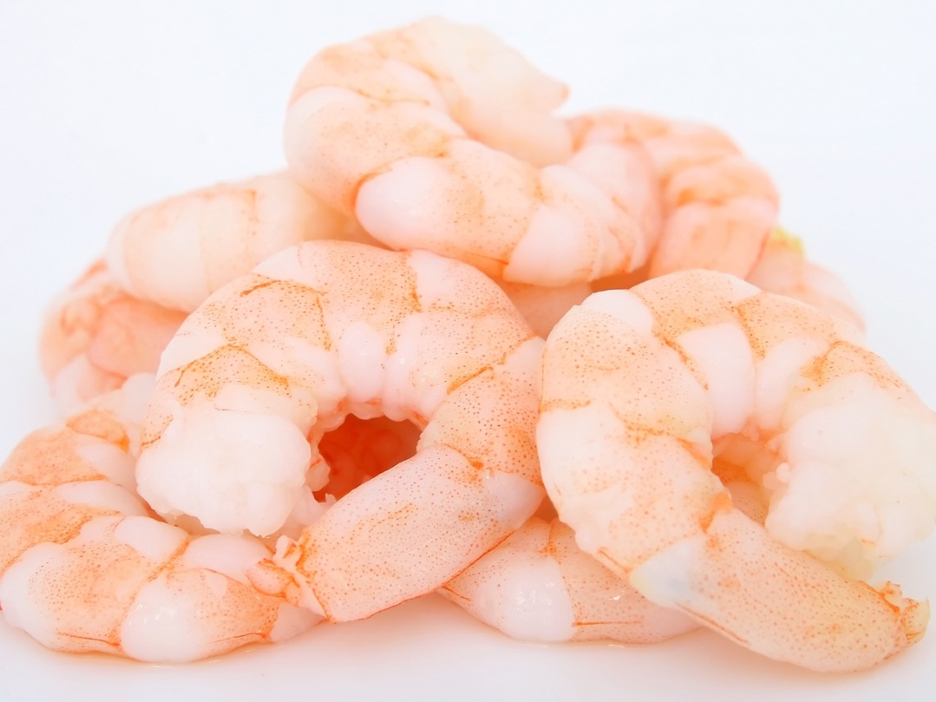 Udang