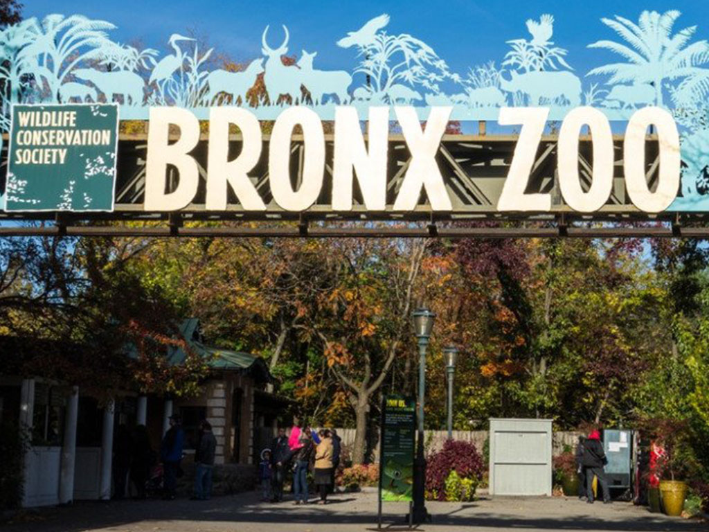 Bronx Zoo