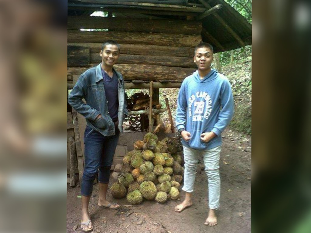 Durian Maninjau