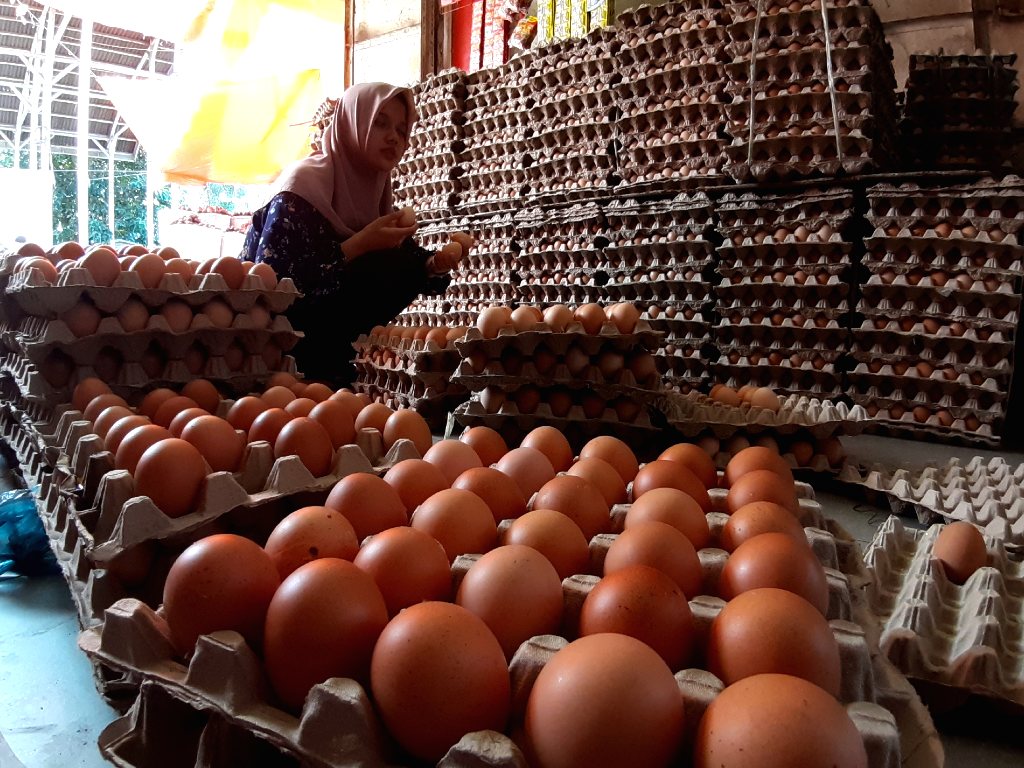 Telur Ayam