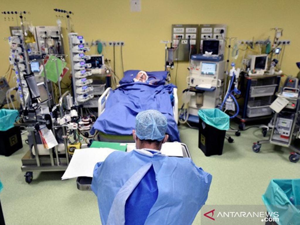 dokter motogp