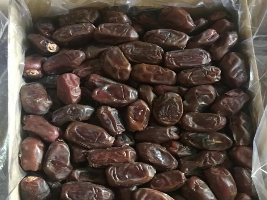 Kurma Khudri