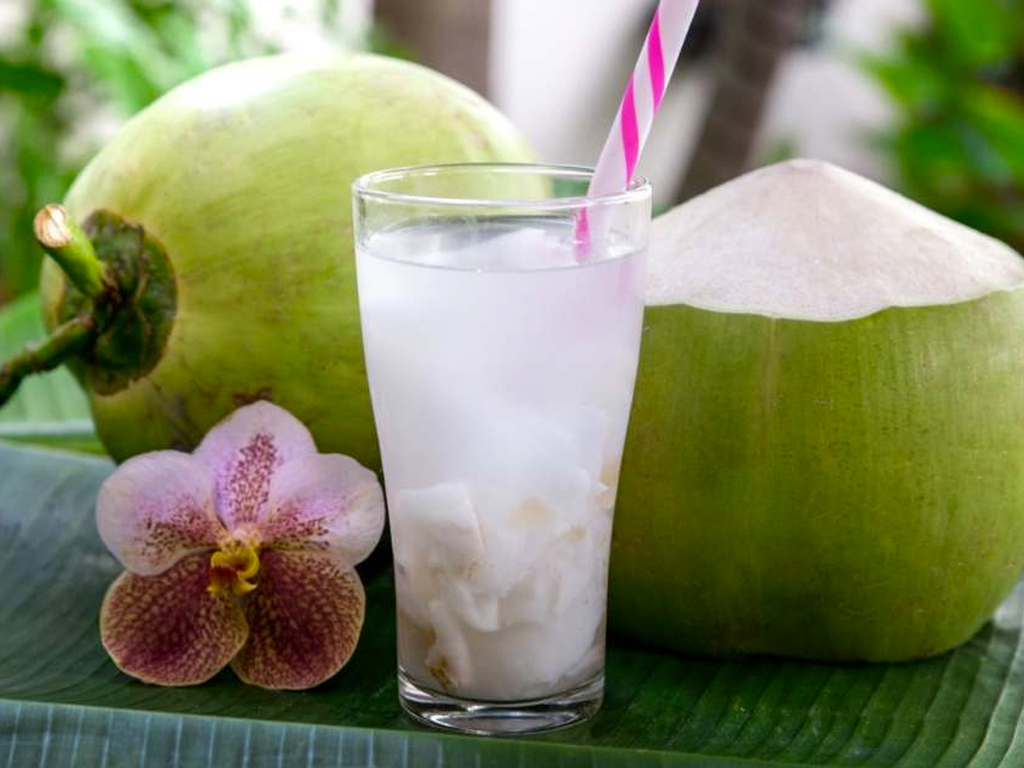 Gambar Kelapa Muda Dalam Gelas Resep Es Kelapa Muda Nutrijel Oleh Sandi