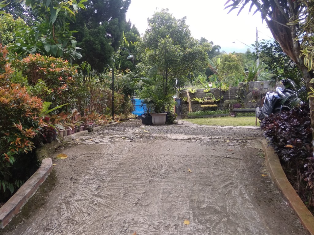 suasana lereng gunung Slamet