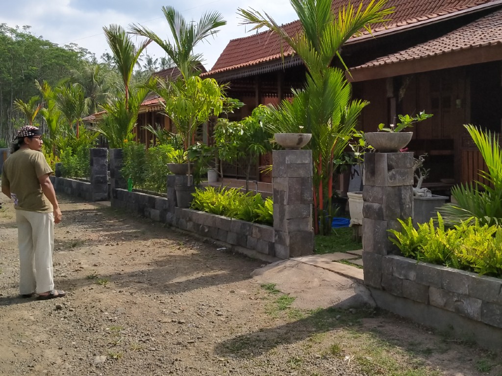 romo banyuwangi1