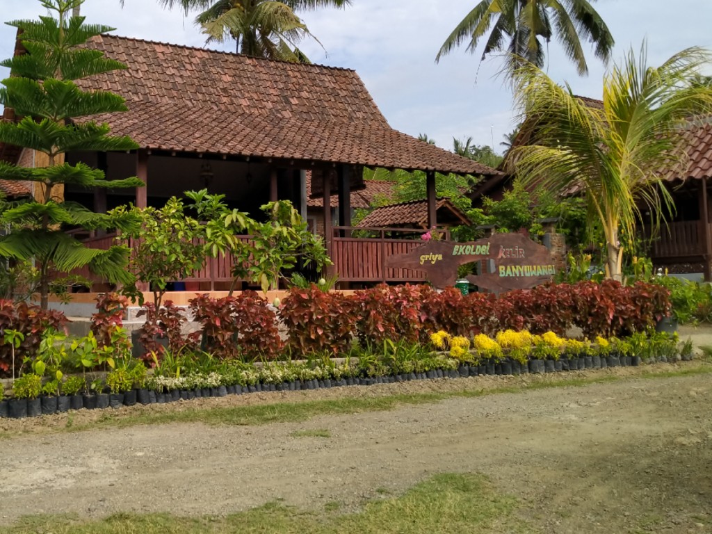 rumah osing Banyuwangi