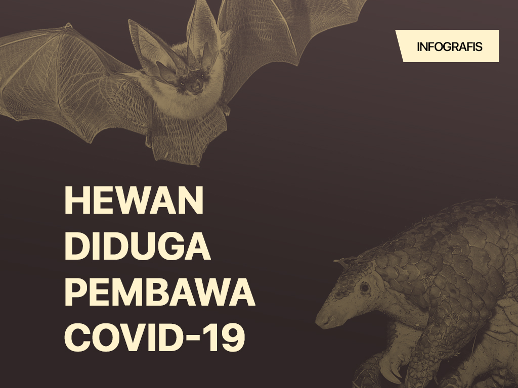 Infografis Cover: Hewan Diduga Pembawa Covid-19