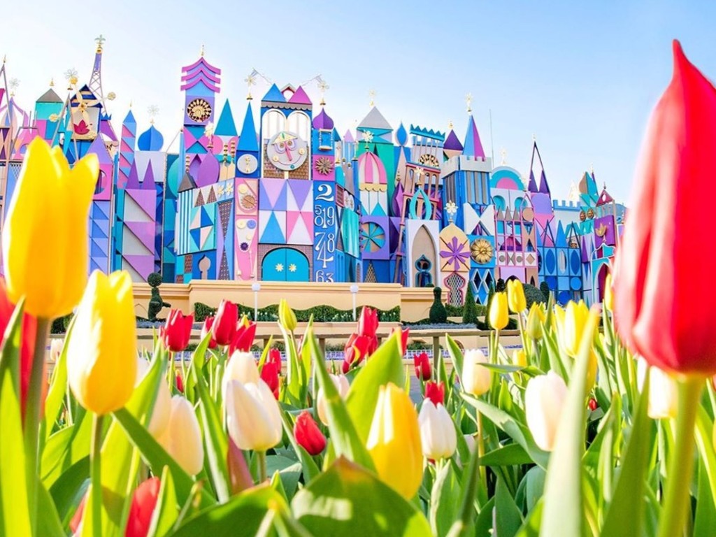 Tokyo Disneyland