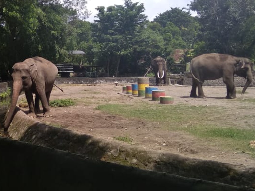 GL Zoo Yogyakarta