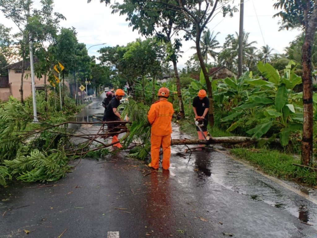 angin kencang magelang