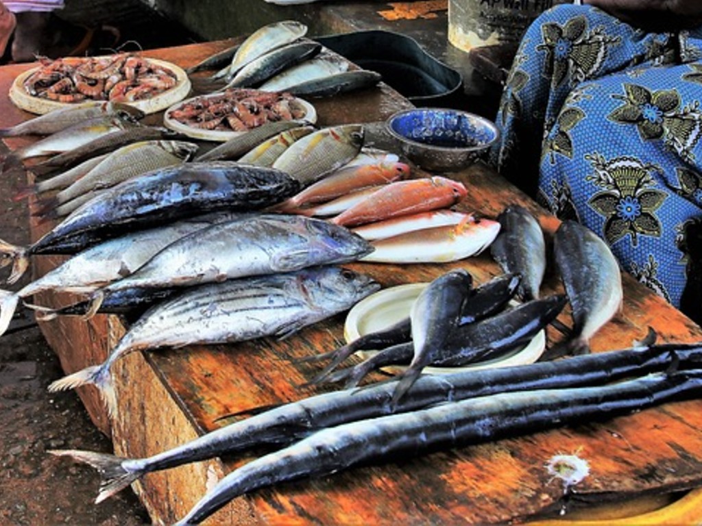 pedagang ikan