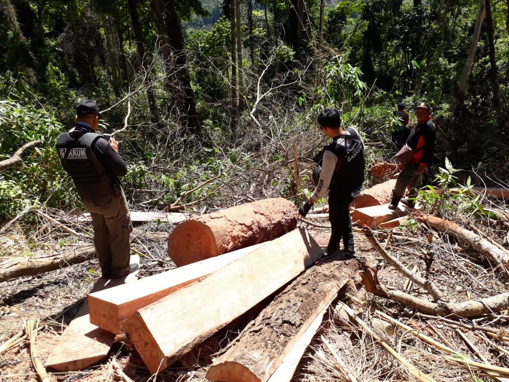 Hutan Sendiki Malang