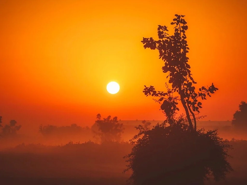 Ilustrasi Matahari Terbit