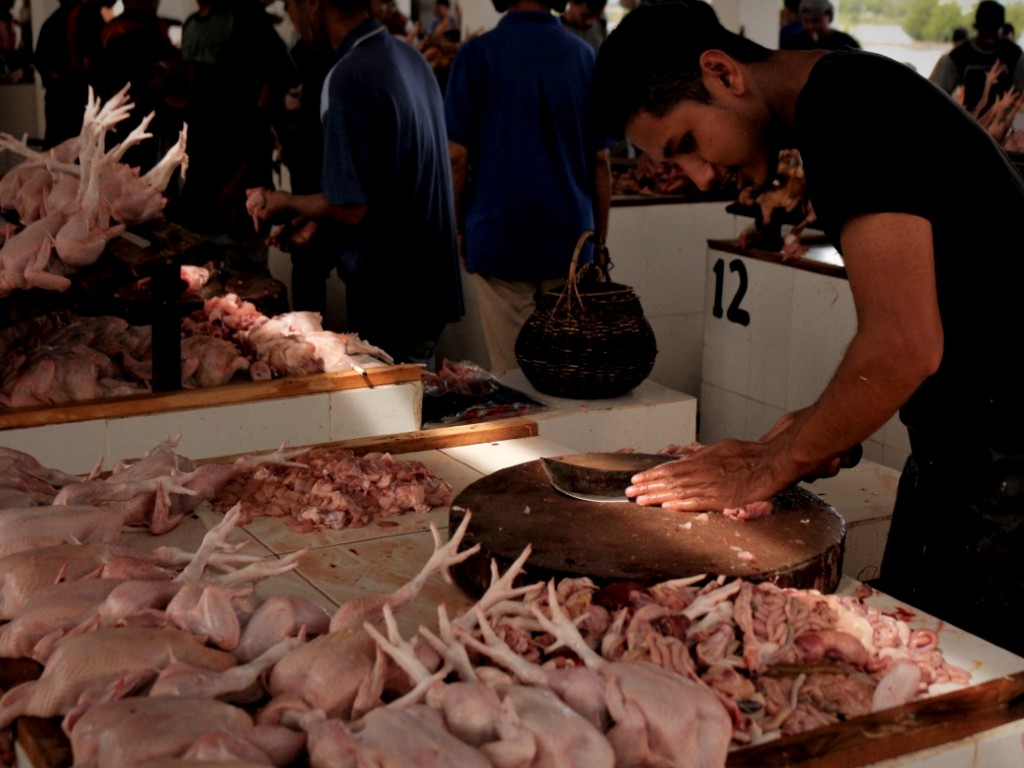 Pedagang Ayam Aceh