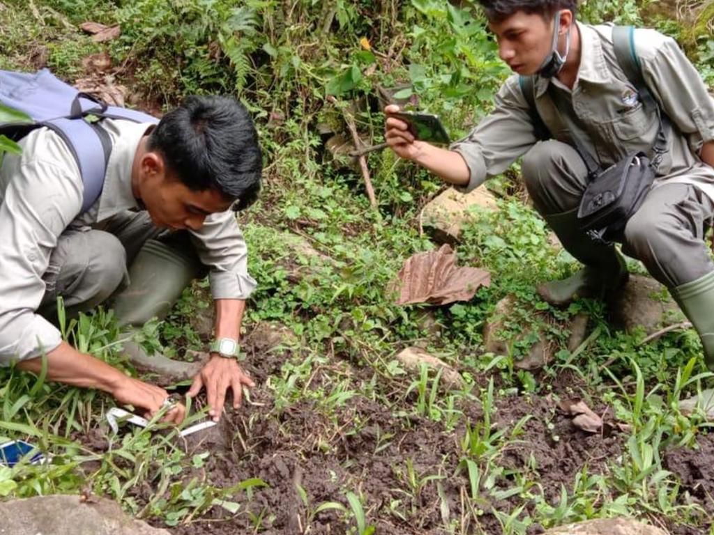 Jejak Harimau