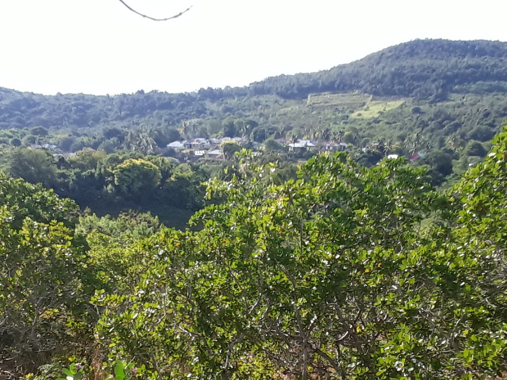 Manggarai Timur