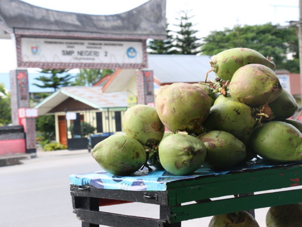 Kelapa Muda