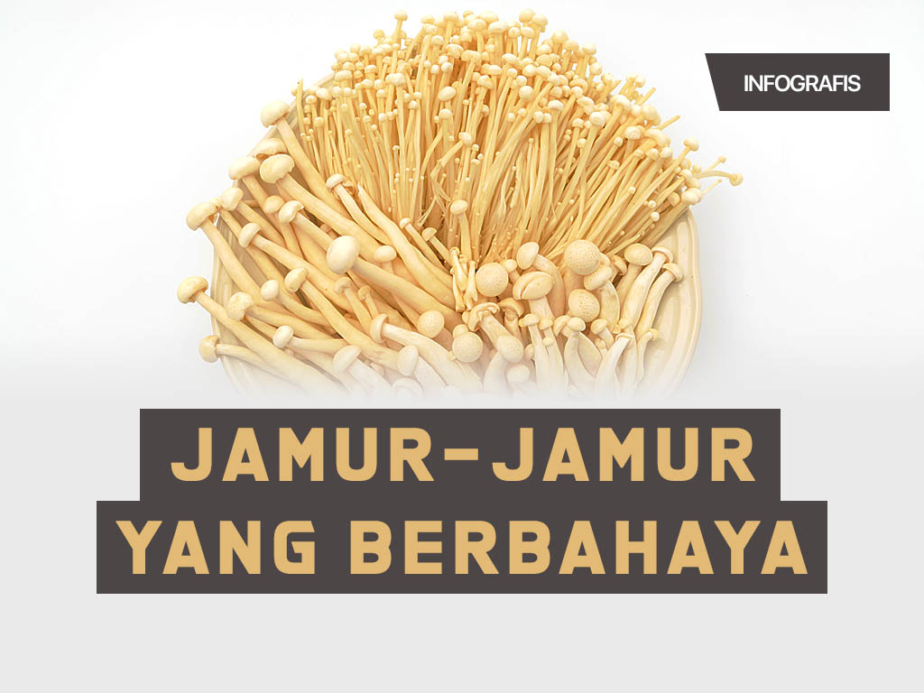 Infografis Cover: Jamur-jamur yang Berbahaya