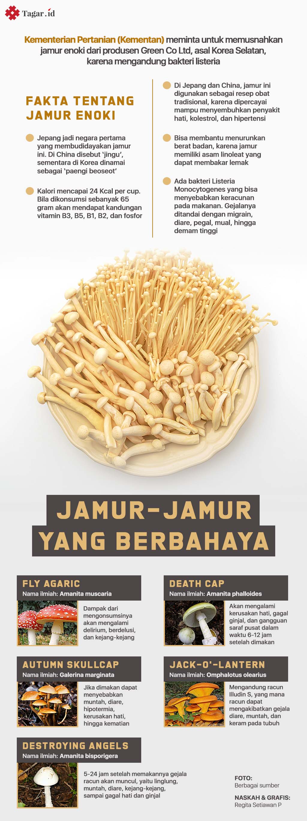 Infografis: Jamur-jamur yang Berbahaya